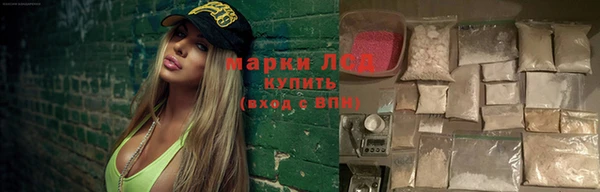 шишки Няндома
