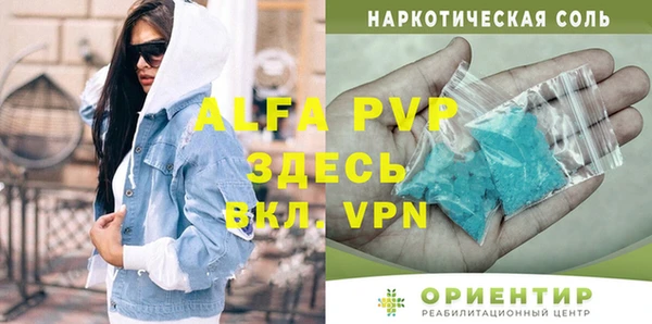 шишки Няндома