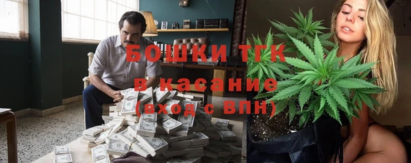 прущие грибы Балабаново