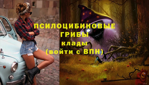 mdpv Нягань