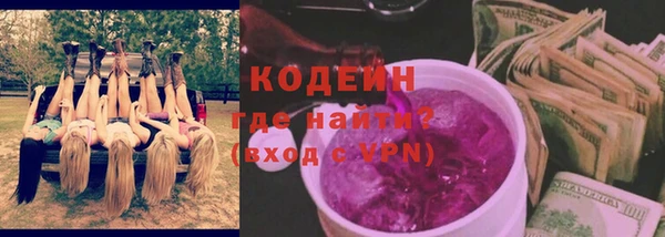 прущие грибы Балабаново