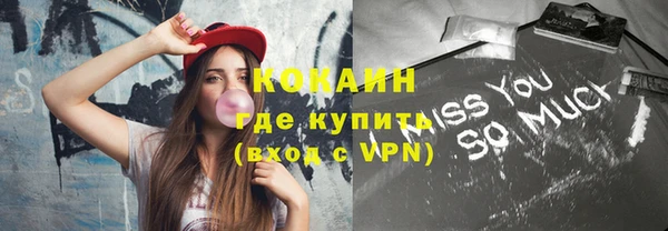 шишки Няндома
